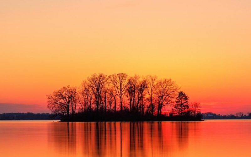 unsplash:1586348943529-beaae6c28db9